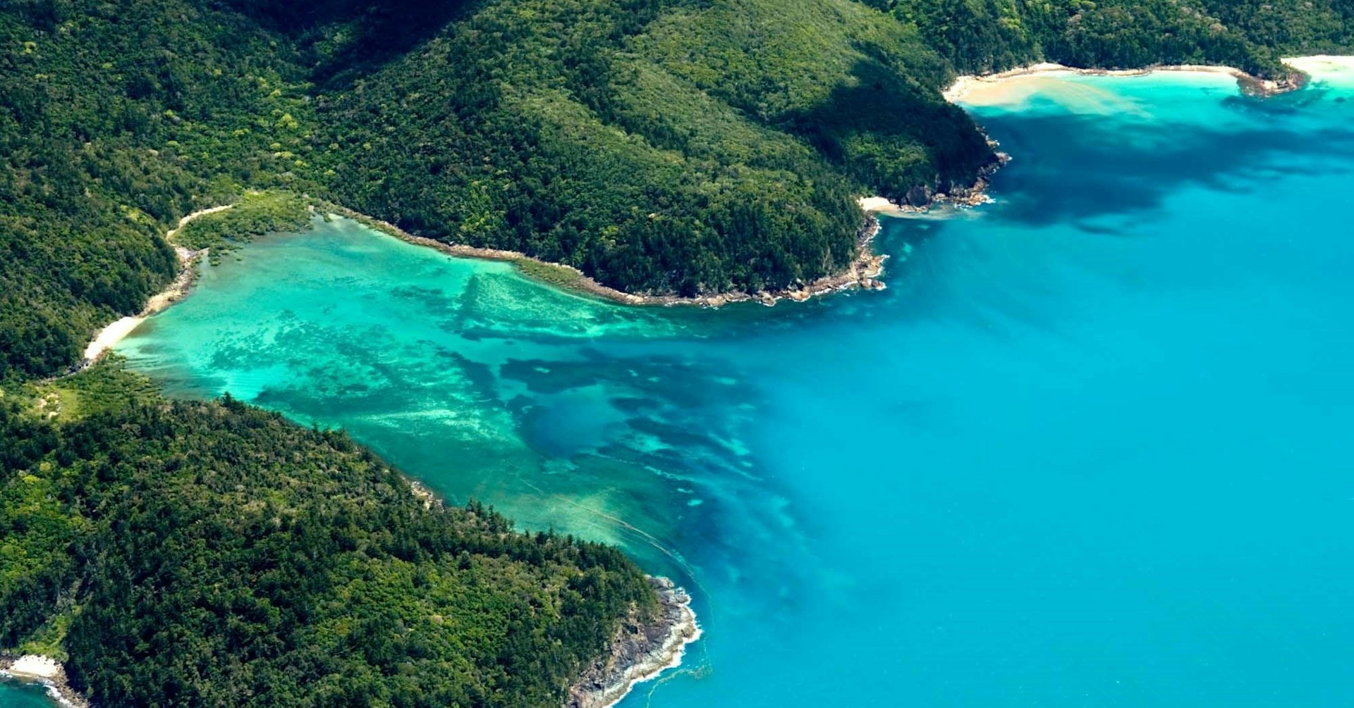 漢密爾頓島旅遊